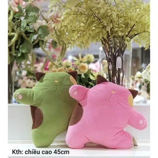 Doll mèo sao biển hikosen cara
