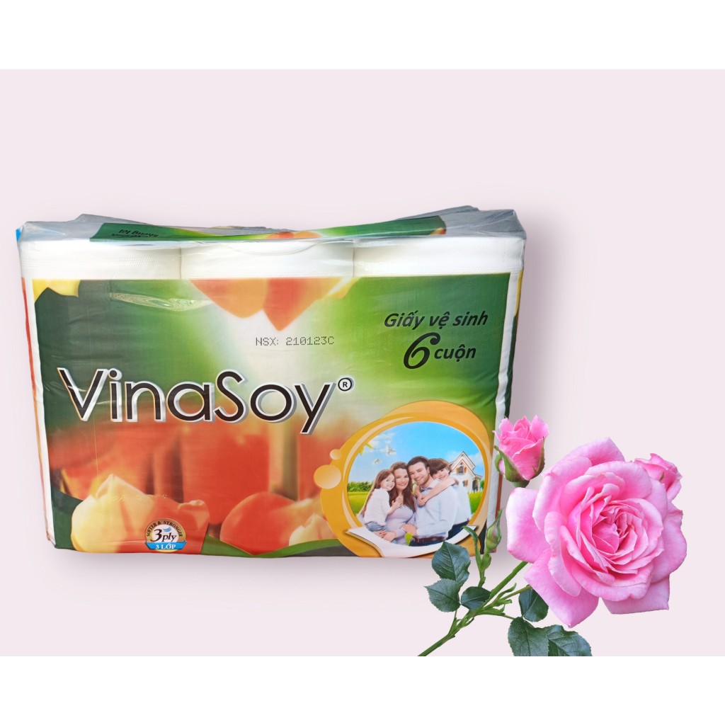 Giấy vệ sinh VinaSoy 6 cuộn không lõi