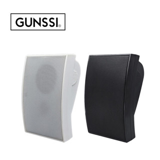  Loa treo tường HIFI GUNSSI BG-04 công suất 20w dùng cho không gian phòng 15-20m2 