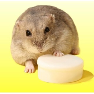 pudding sữa dê cho hamster , sóc, nhím, thỏ, bọ - T3 PETS SHOP