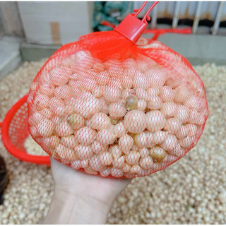 Hành tăm nhà làm( củ nén), hành tăm nghệ an, củ trắng