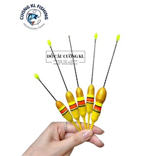 Phao đèn câu cá chuyên câu đầu cành HY+S