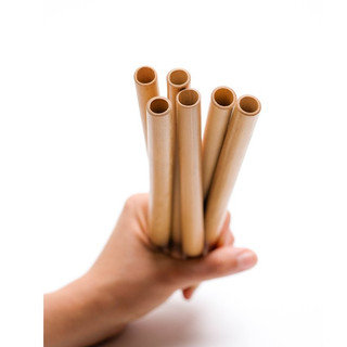 Ống Hút Tre Cỡ Lớn (Size Trân Châu) One4One (1 cái)