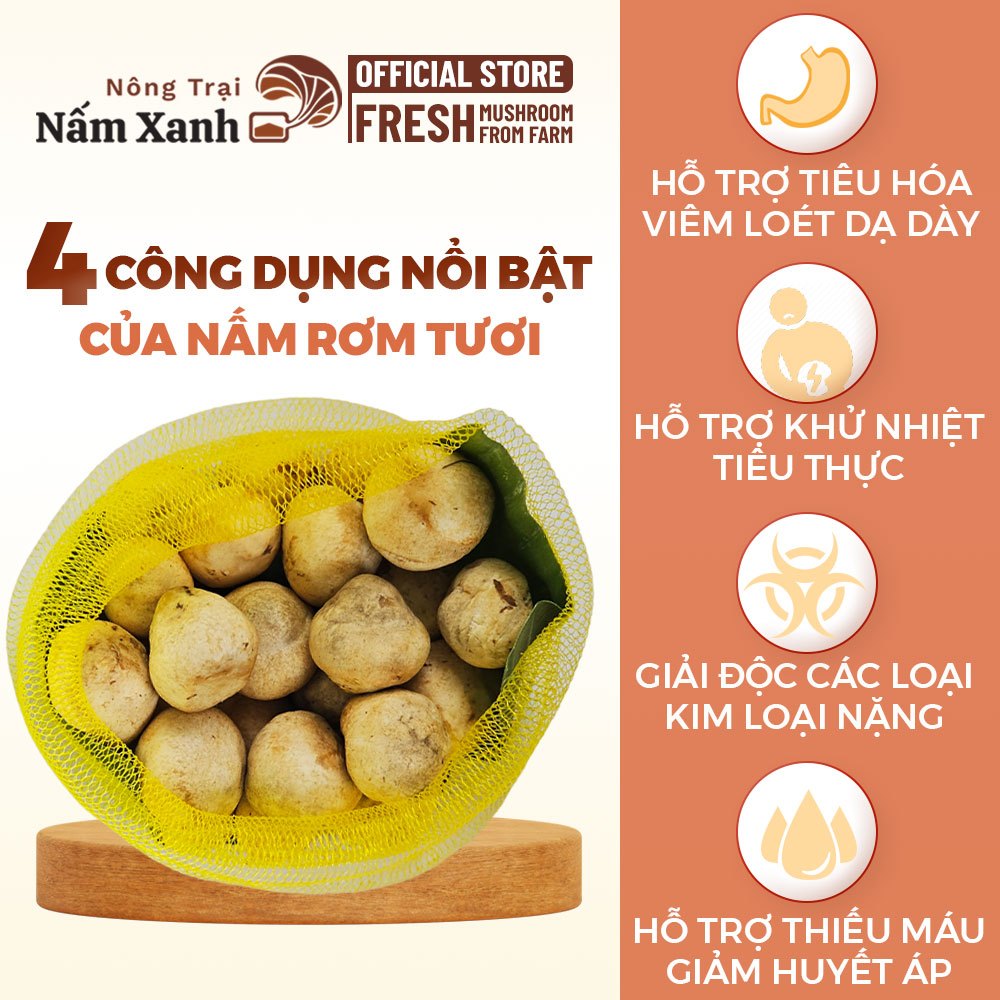 [HCM] 1kg Nấm Rơm Tươi Loại Búp Tròn Ngon Ngọt Thanh Bùi - Nông Trại Nấm Xanh