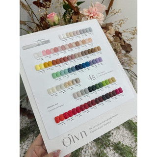 Set sơn olu 48 màu