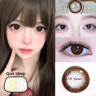 Lens nâu lens brown lens 6 tháng lens moonlight brown lens brown tự nhiên lens hanoian brown lens hanoian brown