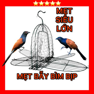 Mẹt bẫy bìm bịp xếp 2 mặt siêu lớn