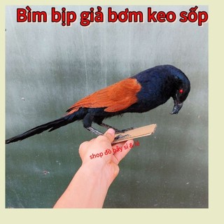 Bịp giả bơm keo, chim bìm bịp giả, mồi bịp giả hàng loại 1