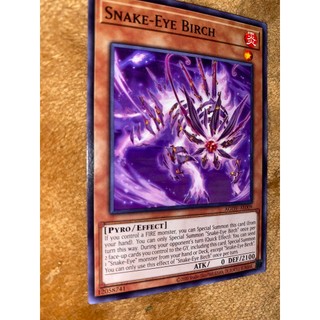 Agov-ae009 - snake-eye birch - common