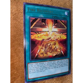 Fire recovery - agov-ae059 - rare