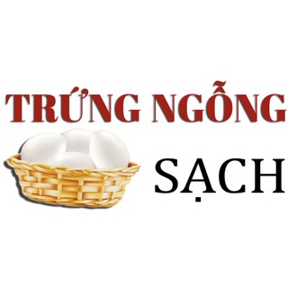 COMBO 10 TRỨNG NGỖNG TO [Hỏa tốc TPHCM]