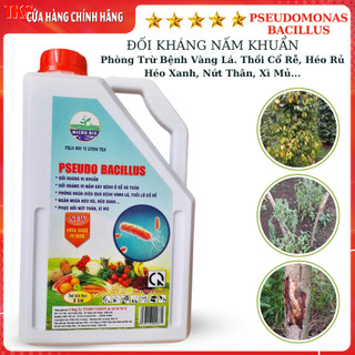 PSEUDOMONAS BACILLUS Đối Kháng Nấm Và Vi Khuẩn Trừ Bệnh Héo Xanh, Vàng Lá, Thối Cỗ Rễ - CAN 2 LIT