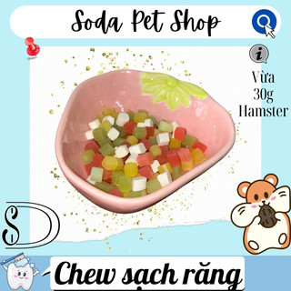 Chew Sạch Răng Cho Hamster