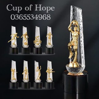 In ấn theo yêu cầu pha lê 765 thể thao kỷ niệm chương lưu niệm bóng đá thể thao cúp cờ giá rẻ huy chương vàng cúp vàng