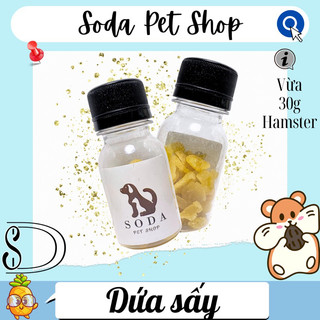 Dứa Sấy Cho Hamster