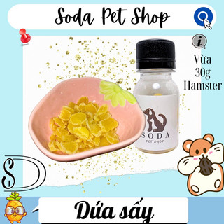Dứa Sấy Cho Hamster