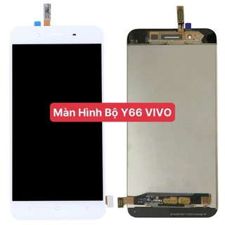 Màn hình bộ y66 vivo