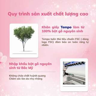 [QUÀ TẶNG KHÔNG BÁN] Gối Sakura phiên bản giới hạn Tempo