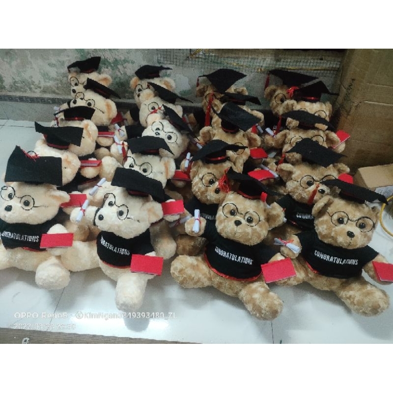 Gấu tốt nghiệp 30_40cm