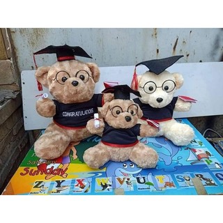 Gấu tốt nghiệp 30_40cm
