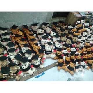 Gấu tốt nghiệp 30_40cm