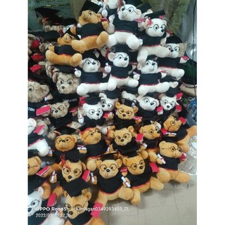 Gấu tốt nghiệp 30_40cm
