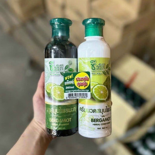CẶP GỘI XÃ MỌC TÓC CHANH