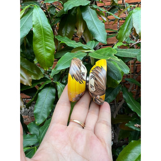 Đồ chơi yoyo