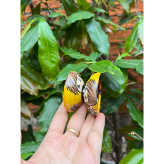 Đồ chơi yoyo