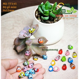 TT145 - sét 50 bọ gỗ cánh cứng, ong màu có keo dáng dùng trang trí size 9x11mm( xem trong mô tả giúp )