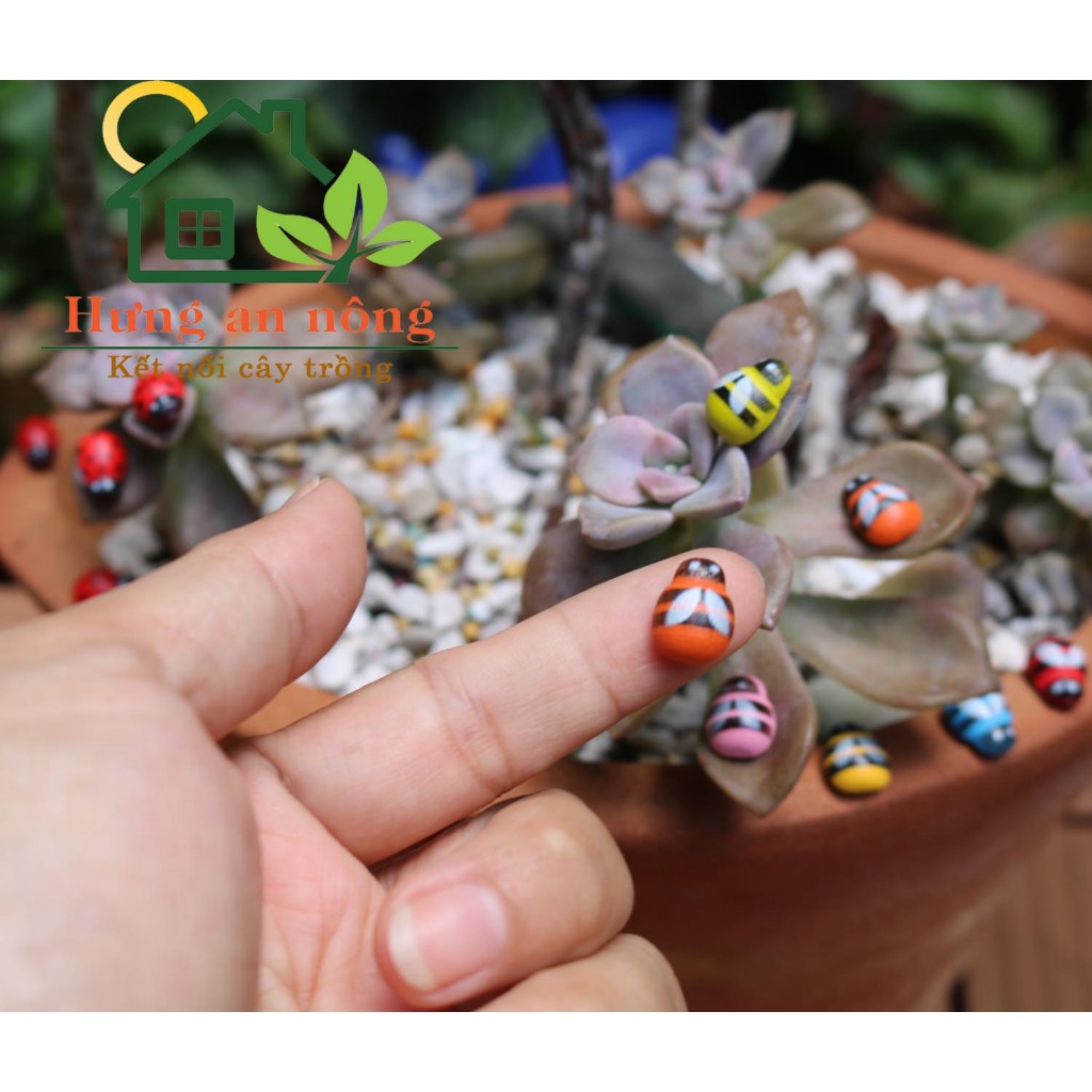 TT145 - sét 50 bọ gỗ cánh cứng, ong màu có keo dáng dùng trang trí size 9x11mm