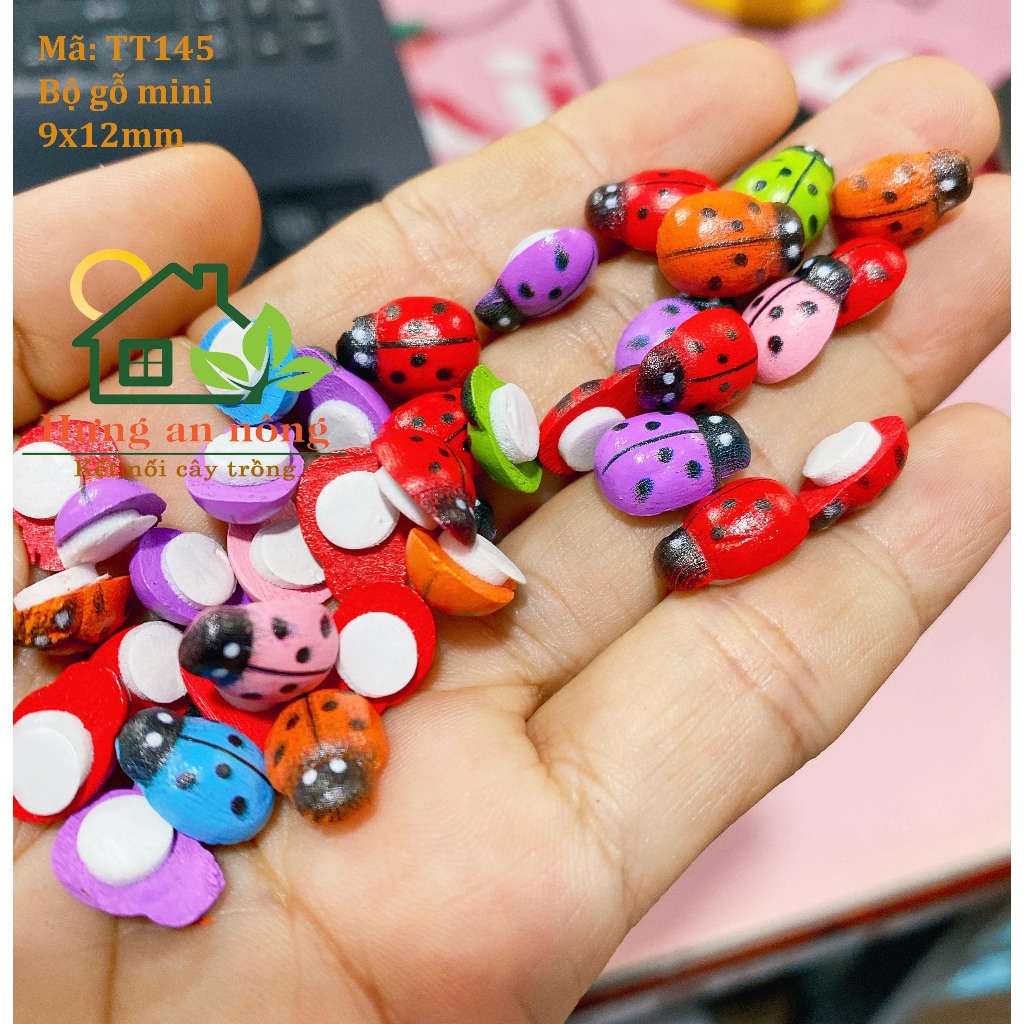 TT145 - sét 50 bọ gỗ cánh cứng, ong màu có keo dáng dùng trang trí size 9x11mm