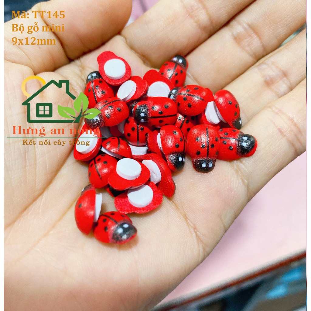 TT145 - sét 50 bọ gỗ cánh cứng, ong màu có keo dáng dùng trang trí size 9x11mm