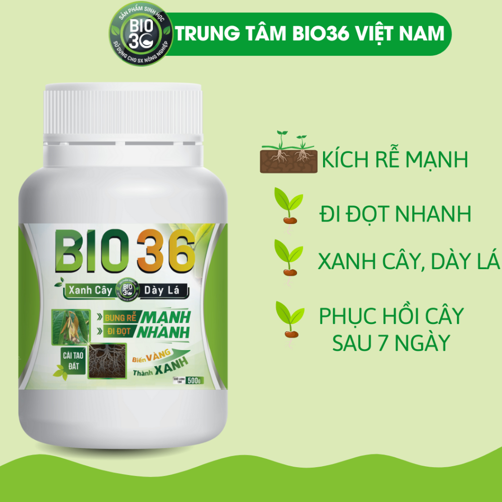 [CHÍNH HÃNG ] BIO 36 Siêu Kích Rễ Đi Đọt Nhanh, Xanh Cây, Dày lá, Cải tạo đất ( bio36 500g )