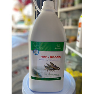 Xử lí nước cho ao tôm rhodo cal 5 lít. vi khuẩn quang hợp