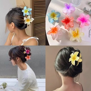  🧚🏻‍♀️Ganten🧚🏻‍♀️Kẹp Tóc Hoa sứ  Kẹp tóc hoa Nhiều Màu Sắc Phong Cách Hawaii 