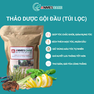 Túi lọc thảo dược gội đầu Bồ kết, Vỏ bưởi, Cỏ mần trầu, SET 20 TÚI LỌC - Sạch gàu, Kích thích mọc tóc, lành tính - ANMES