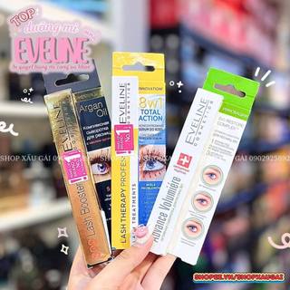 Dưỡng mi eveline - huyết thanh dưỡng mi dài dày chắc khoẻ, tinh chất chuốt lông mi cấp ẩm làm đẹp đen mi 10ml