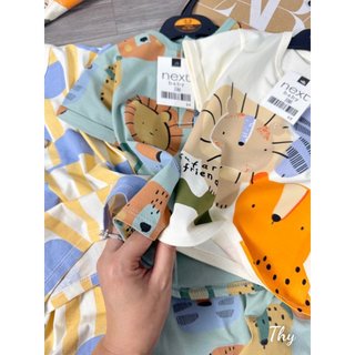SET 3 BỘ SƯ TỬ NEXT MẪU MỚI