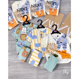 SET 3 BỘ SƯ TỬ NEXT MẪU MỚI