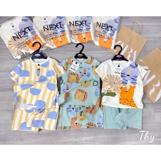 SET 3 BỘ SƯ TỬ NEXT MẪU MỚI