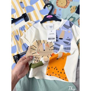 SET 3 BỘ SƯ TỬ NEXT MẪU MỚI