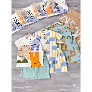 SET 3 BỘ SƯ TỬ NEXT MẪU MỚI