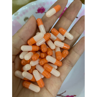 Vỏ viên nang rỗng size 2, viên nang rỗng size 3, vỏ nang rỗng size 4