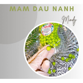 COMBO 5 MẦM