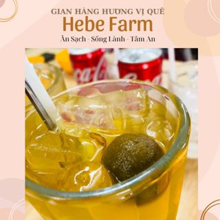 Sấu ngâm đường hủ 500g, pha nước uống giải khát, giải nhiệt, chua chua ngọt ngọt thơm ngon