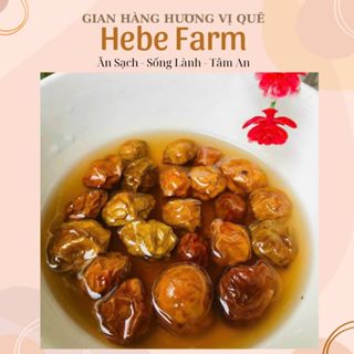 Mơ ngâm đường pha nước uống giải khát (hủ 500g), chua chua ngọt ngọt, thức uống giải nhiệt thơm ngon