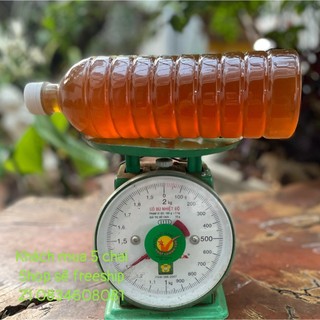 1 lít mật ong hoa cà phê nguyên chất 100% tuyền bmt đăklăk hình tự chụp