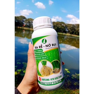 Ra rễ nở bụi chuyên lúa 500ml