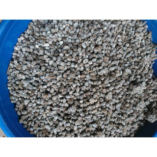 phân dê trồng lan túi 1kg